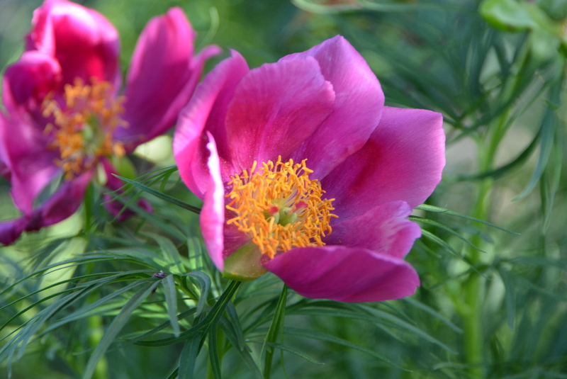 DSC_6719.JPG