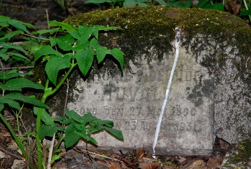 DSC_0221.JPG