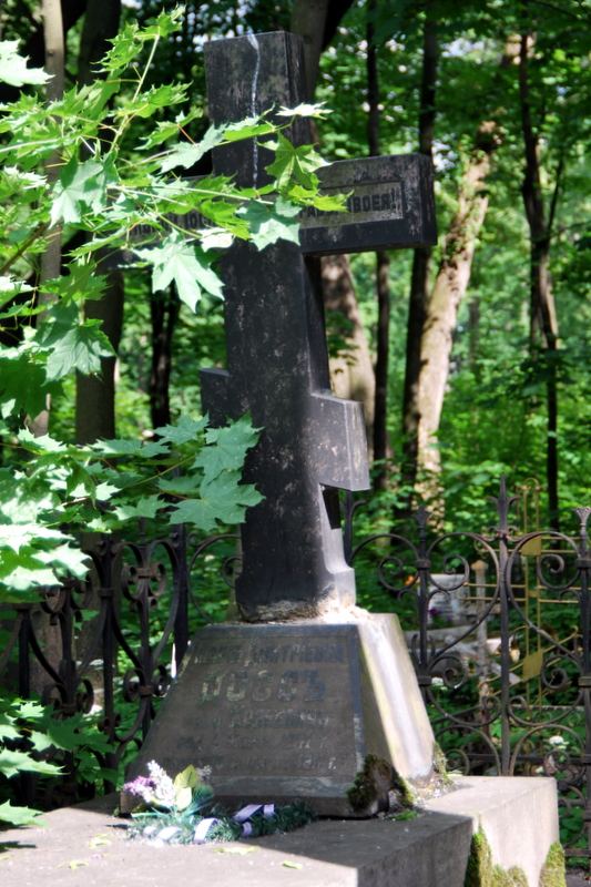 DSC_0213.jpg