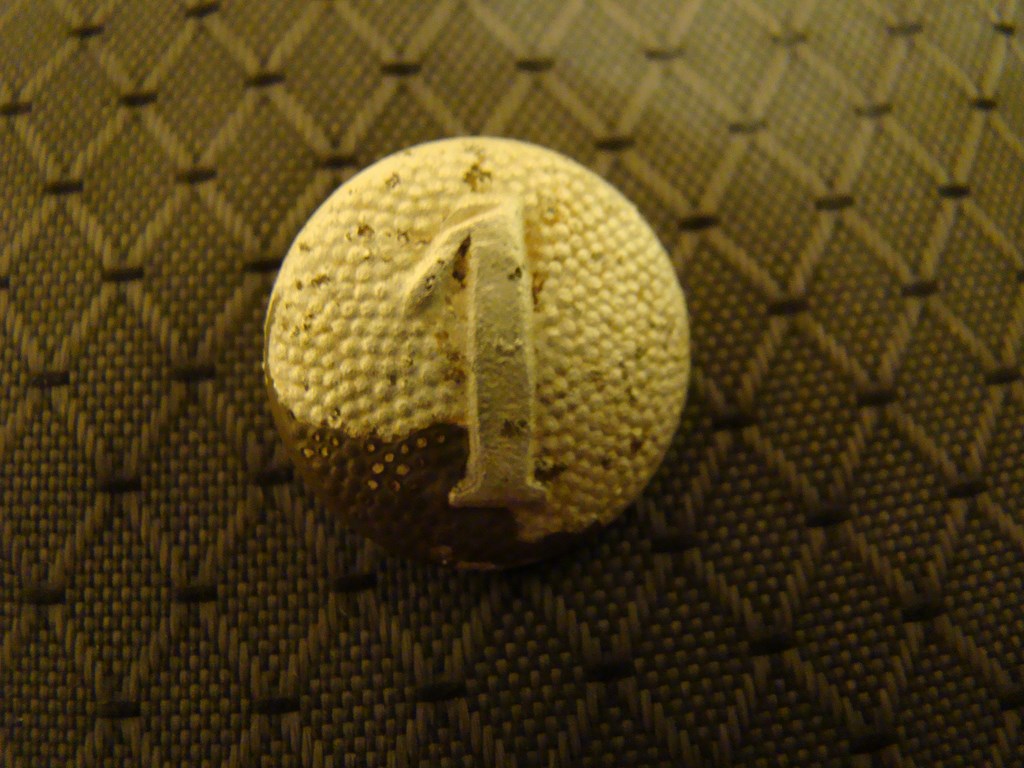 DSC08066 (Копировать).JPG