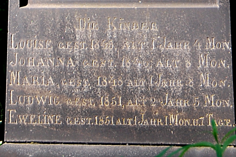 455625 137-001.jpg
