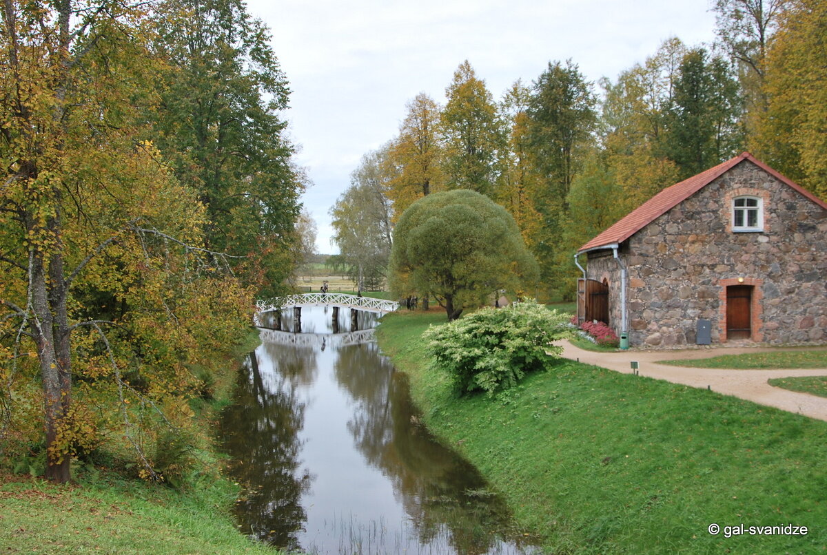 DSC_0236.JPG