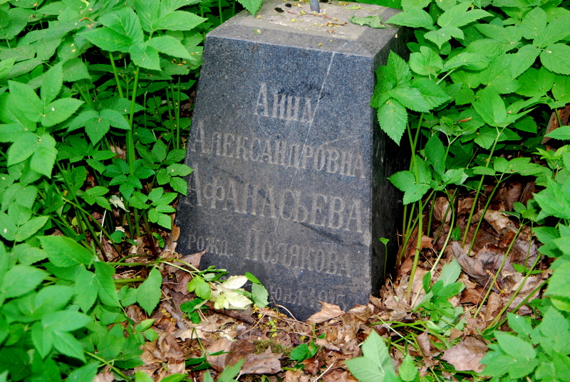 DSC_0889.JPG