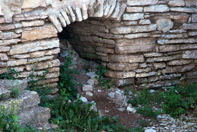 DSC_0010.JPG