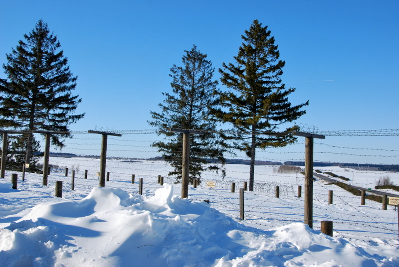 DSC_0176.JPG