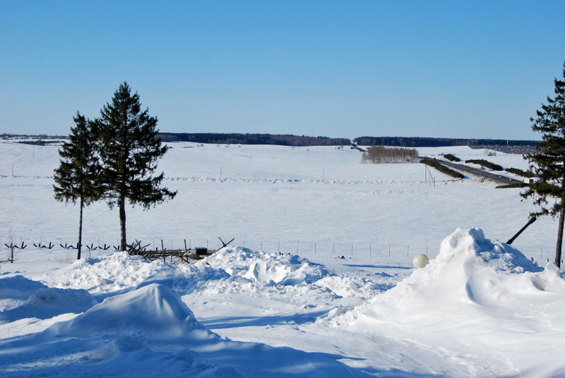 DSC_0199.JPG