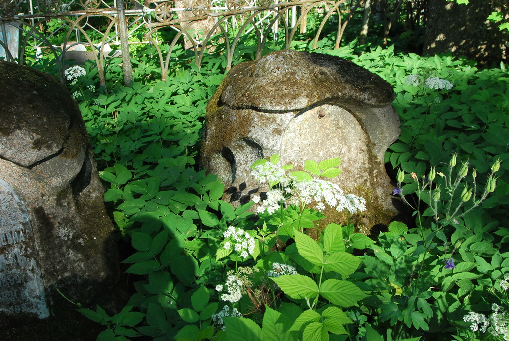 DSC_0995.jpg