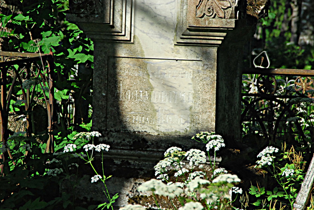 DSC_0981.jpg
