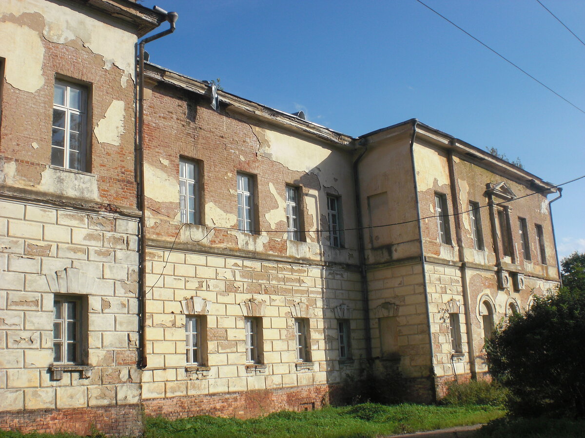 CIMG3536.JPG