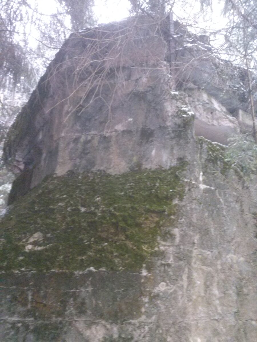 CAM00906.jpg