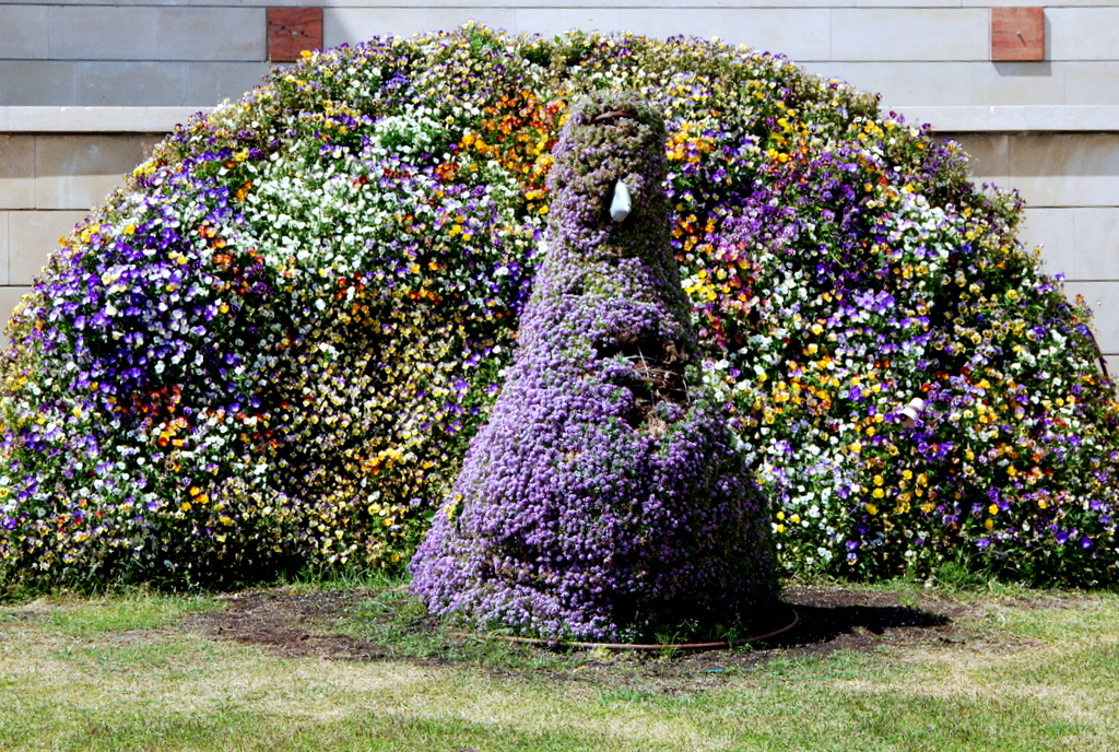 DSC_0173.JPG