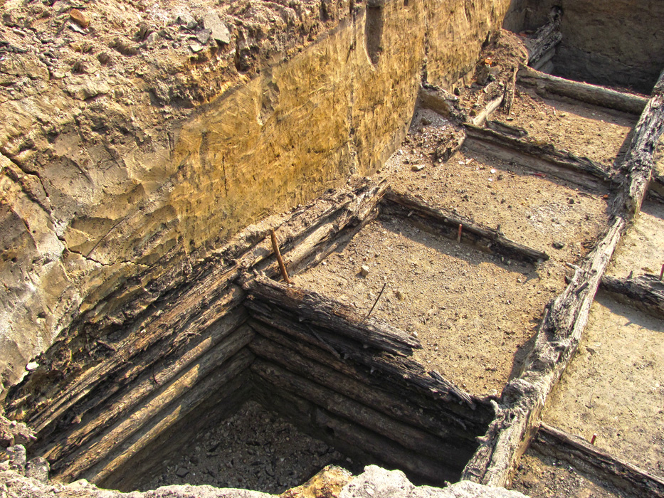 3812093 копия.jpg