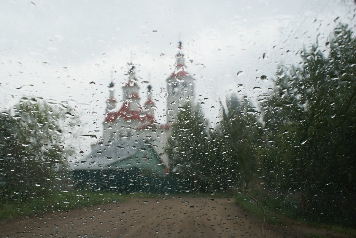 DSC06451.JPG