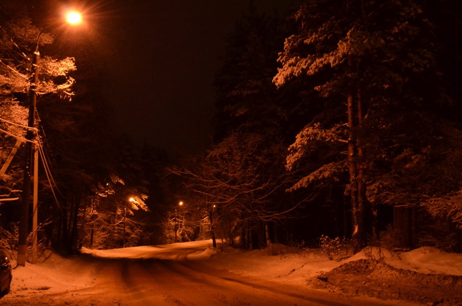 DSC_0094.jpg