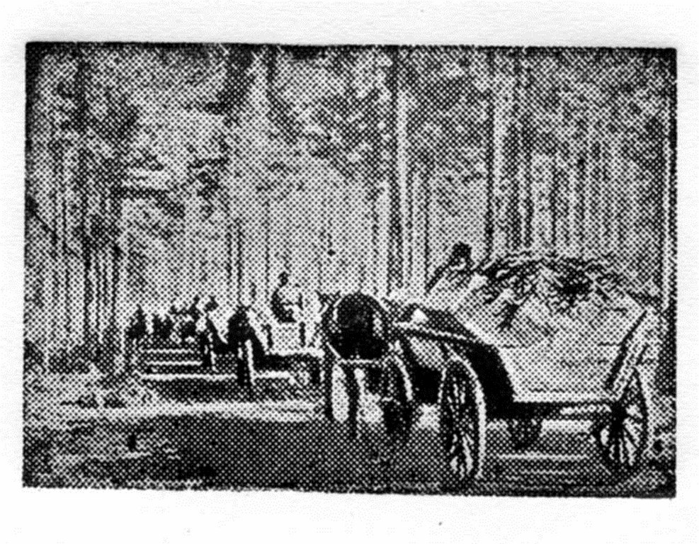 л-017 (Копировать).jpg