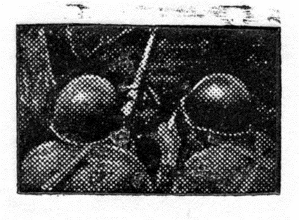 л-054 (Копировать).jpg