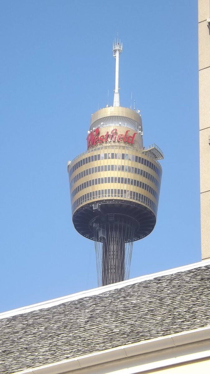 DSCF4851.JPG