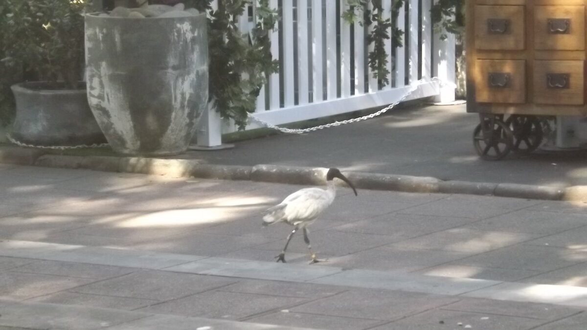 DSCF4857.JPG