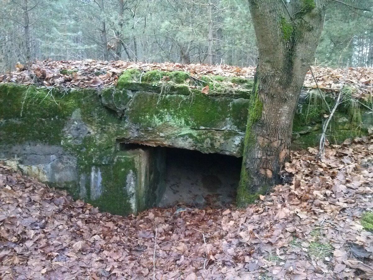 CAM00937.jpg