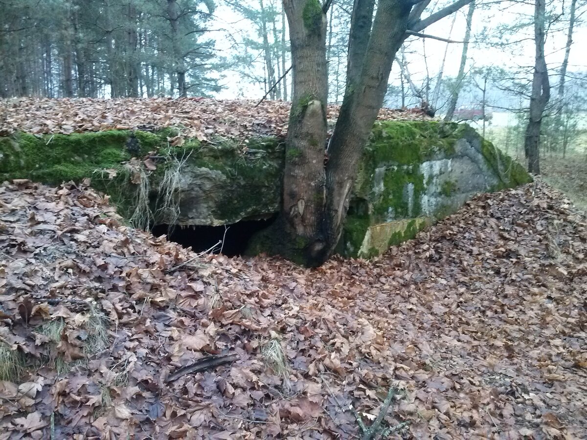CAM00938.jpg