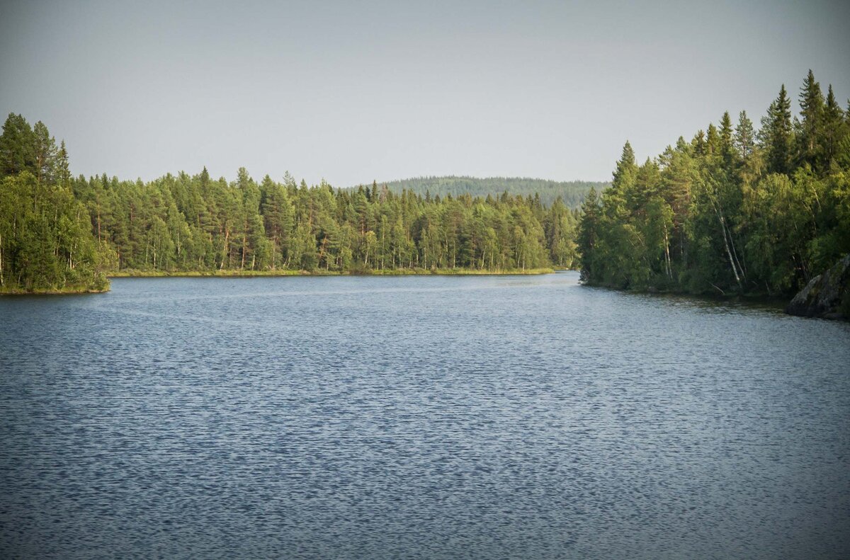 _MG_8564.JPG