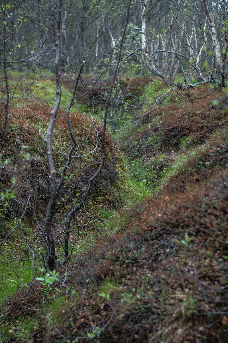 _MG_9134.JPG