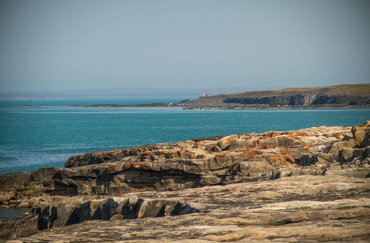 _MG_9362.JPG