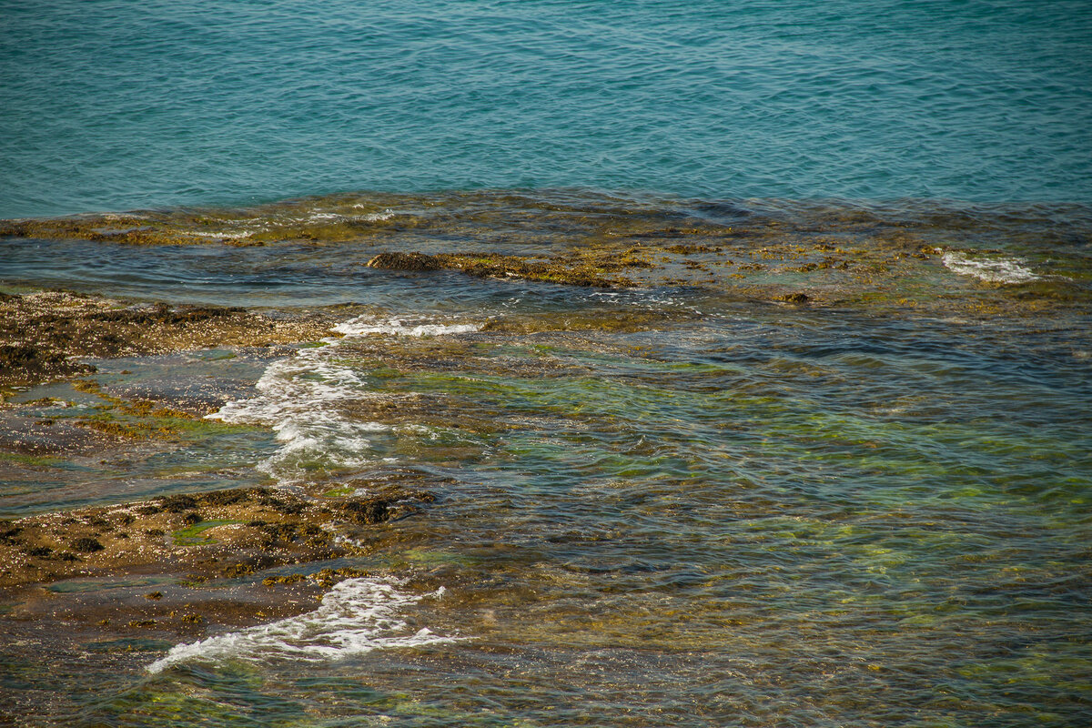 _MG_9363.JPG