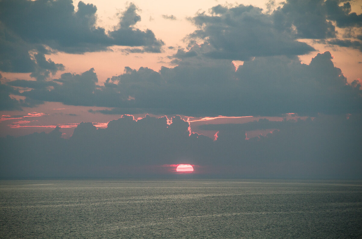 _MG_9478.JPG