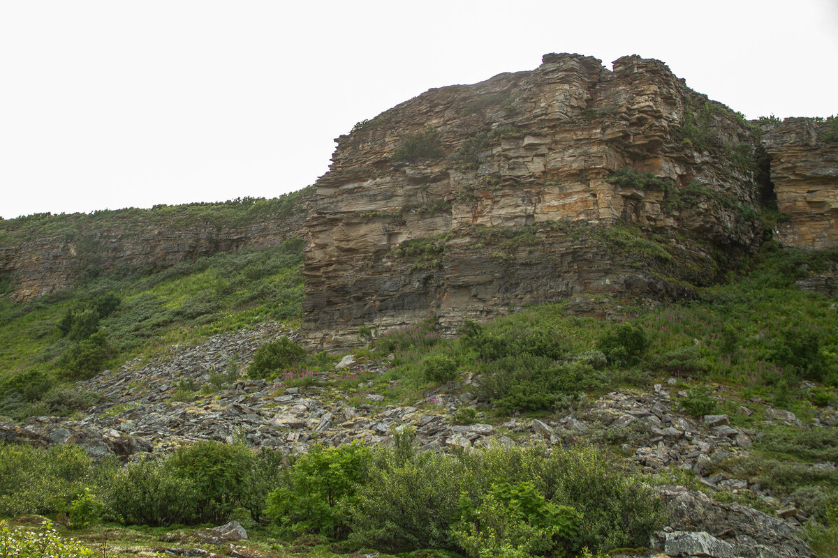 _MG_9576.JPG