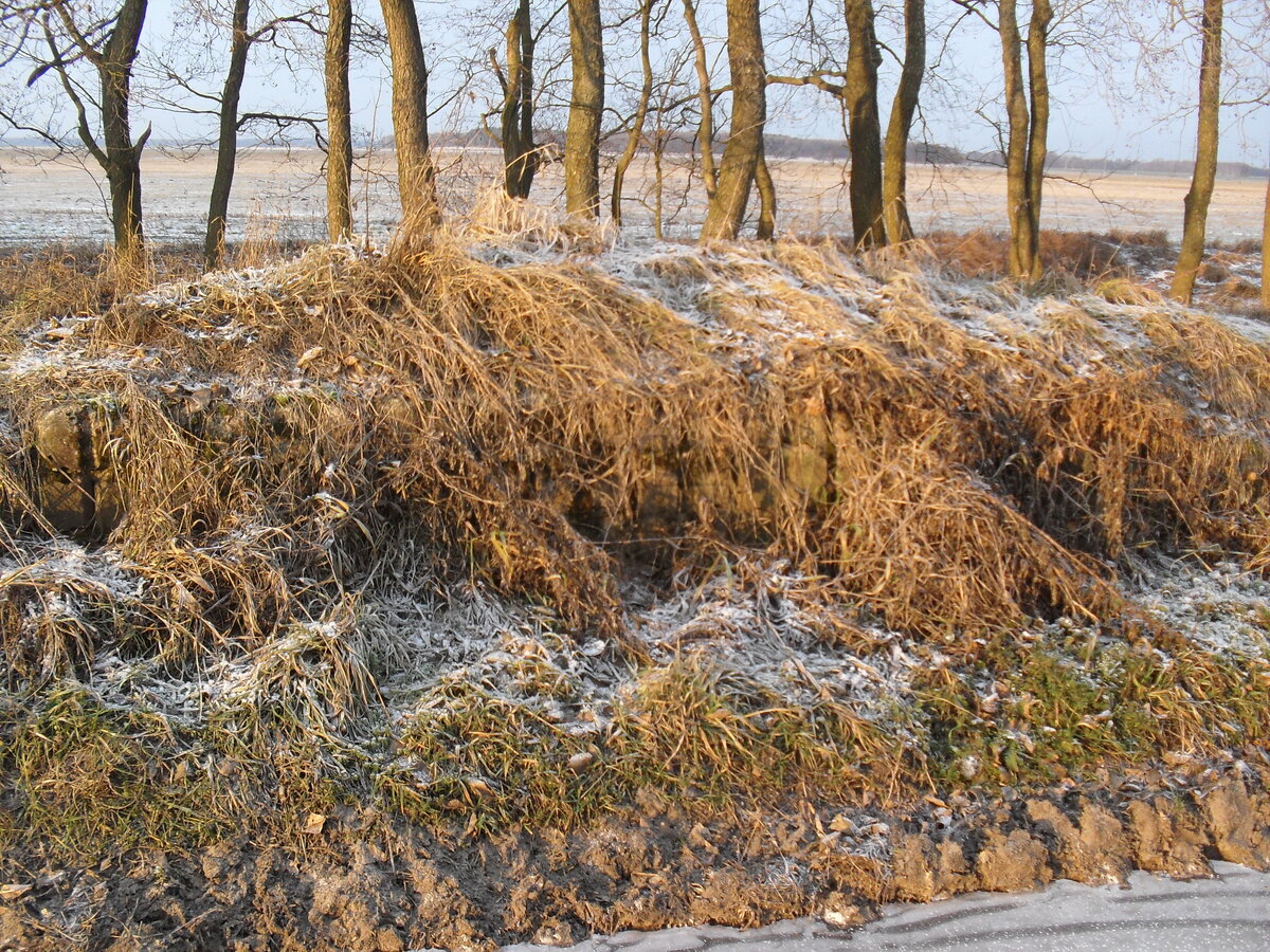 SDC12739.JPG