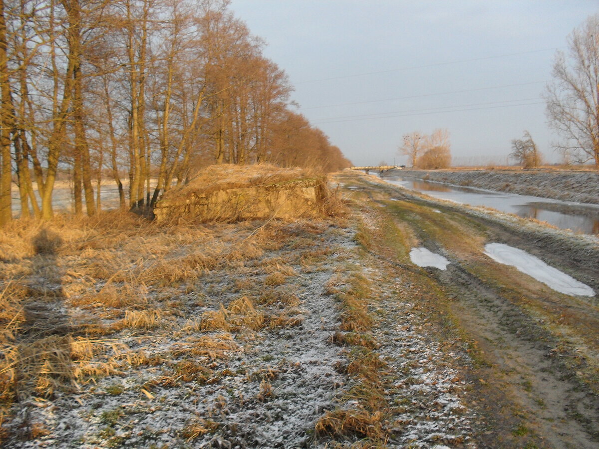 SDC12742.JPG