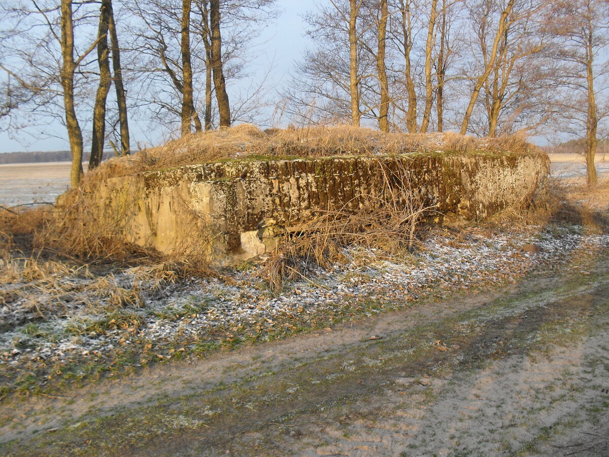 SDC12743.JPG
