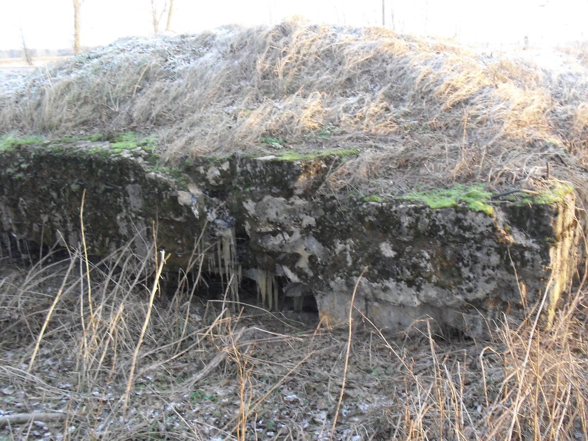 SDC12746.JPG