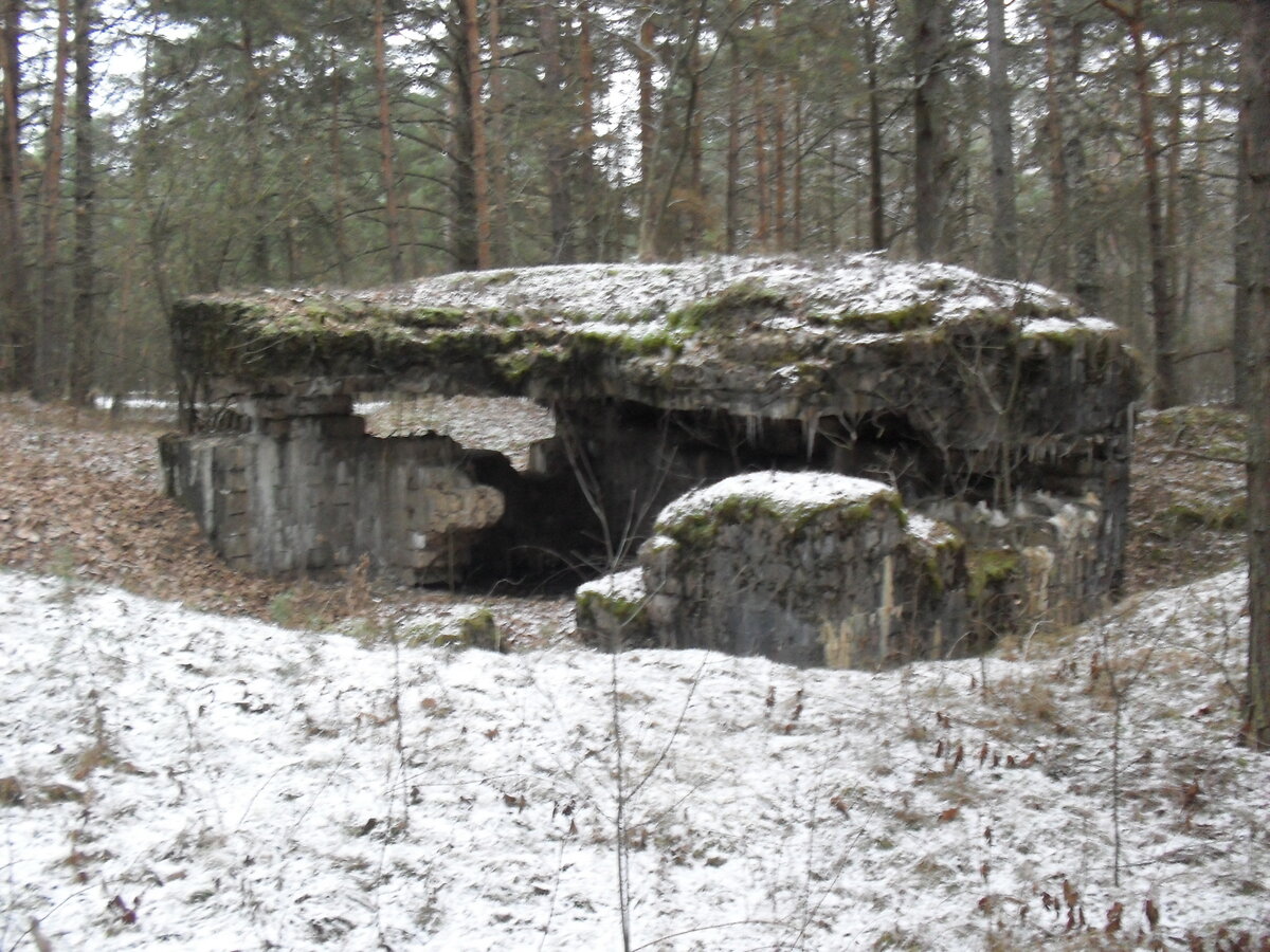 SDC12749.JPG
