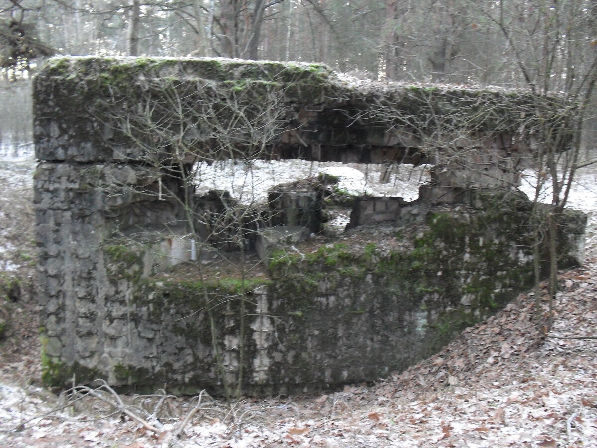 SDC12751.JPG