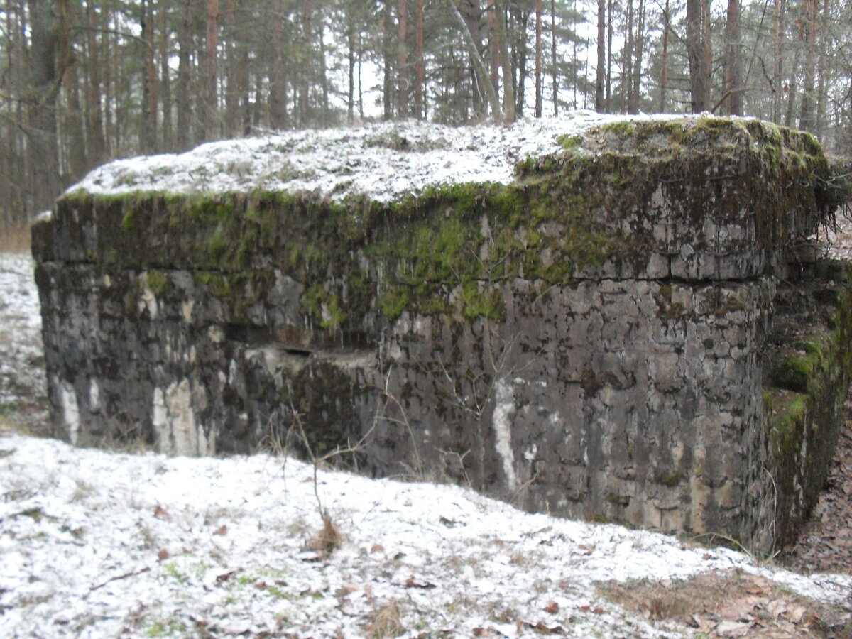 SDC12752.JPG