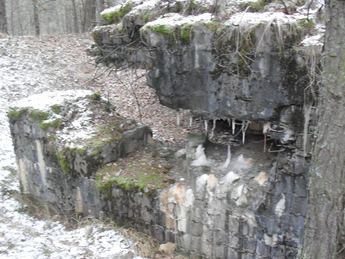 SDC12753.JPG