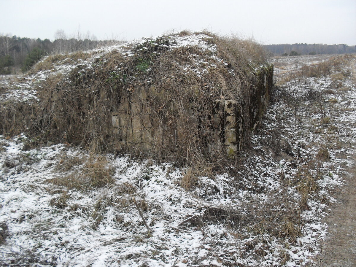 SDC12755.JPG