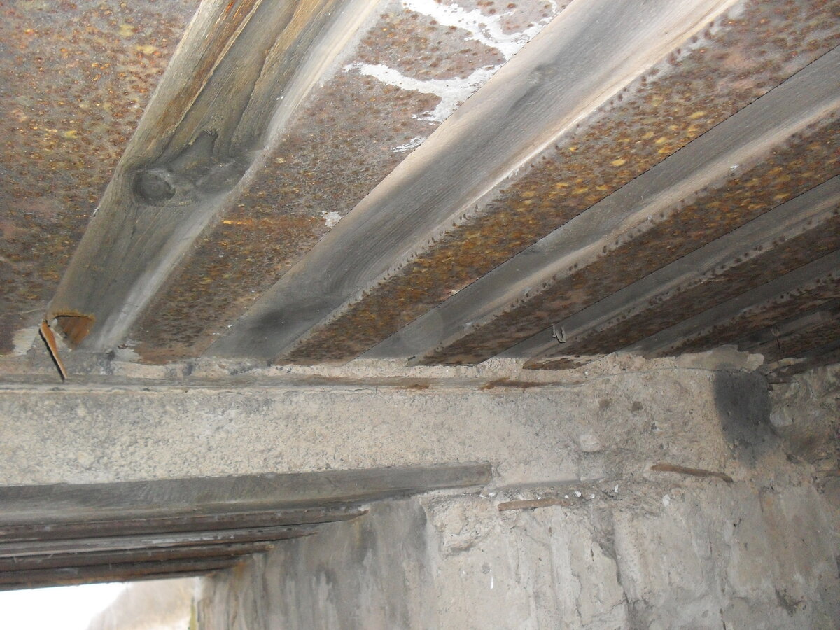 SDC12761.JPG