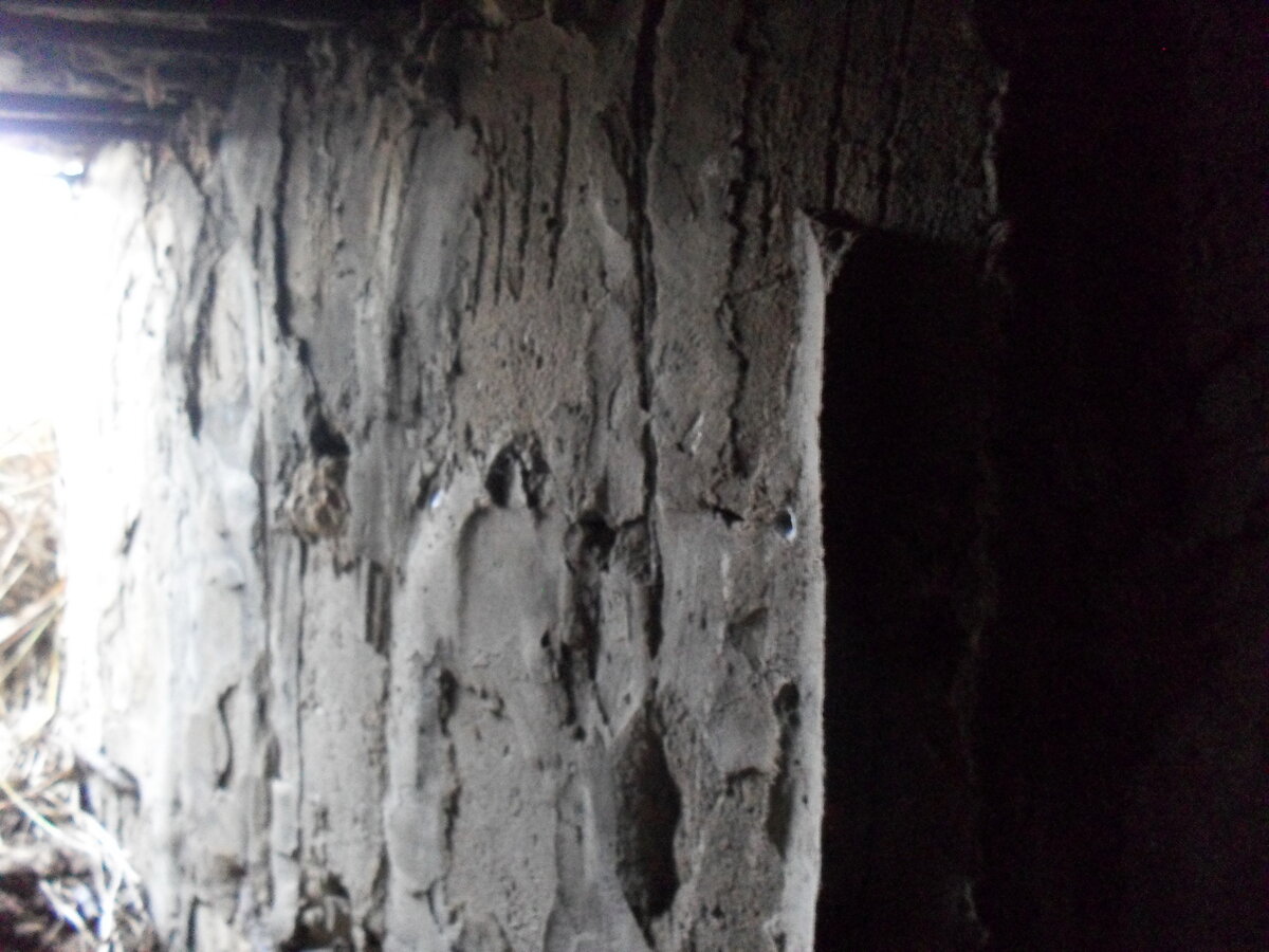 SDC12764.JPG