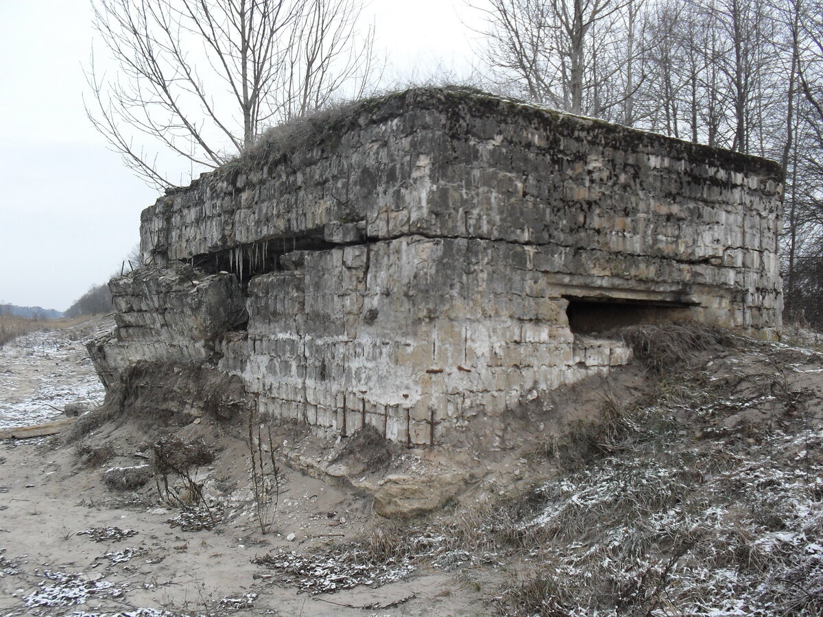 SDC12766.JPG