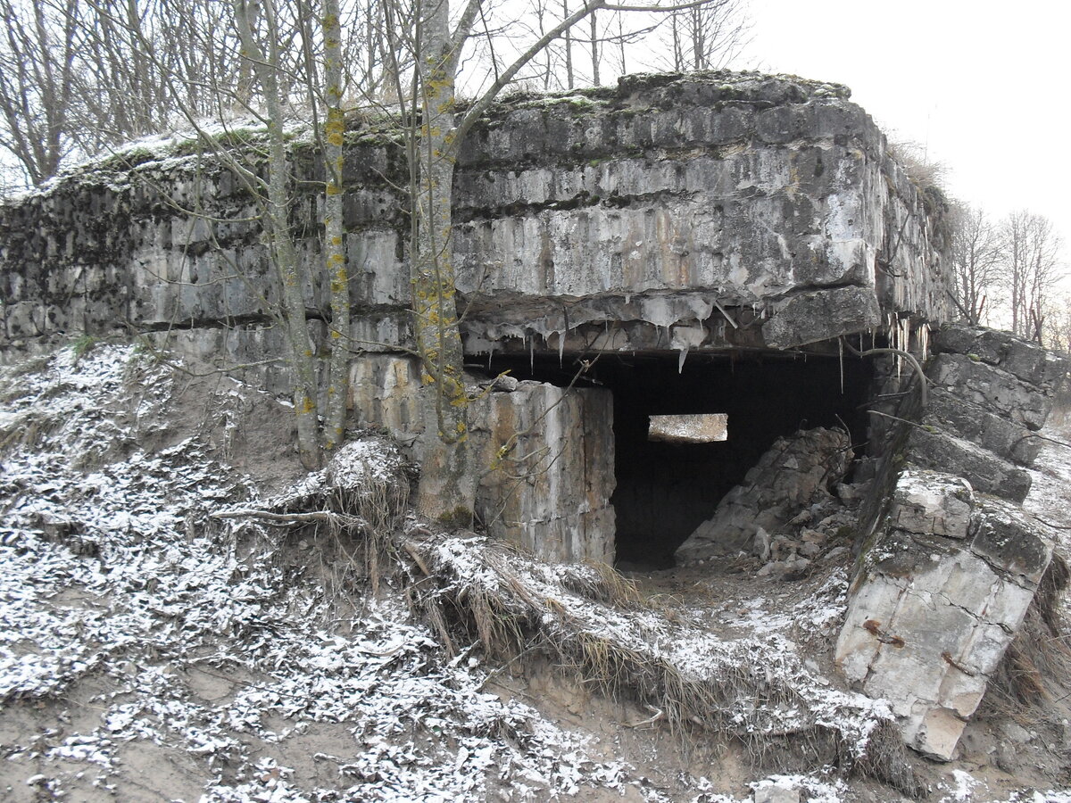 SDC12767.JPG