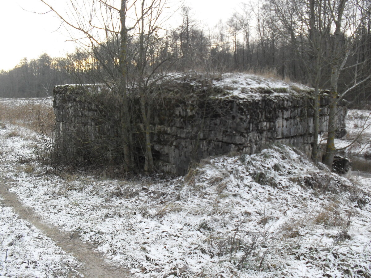 SDC12770.JPG