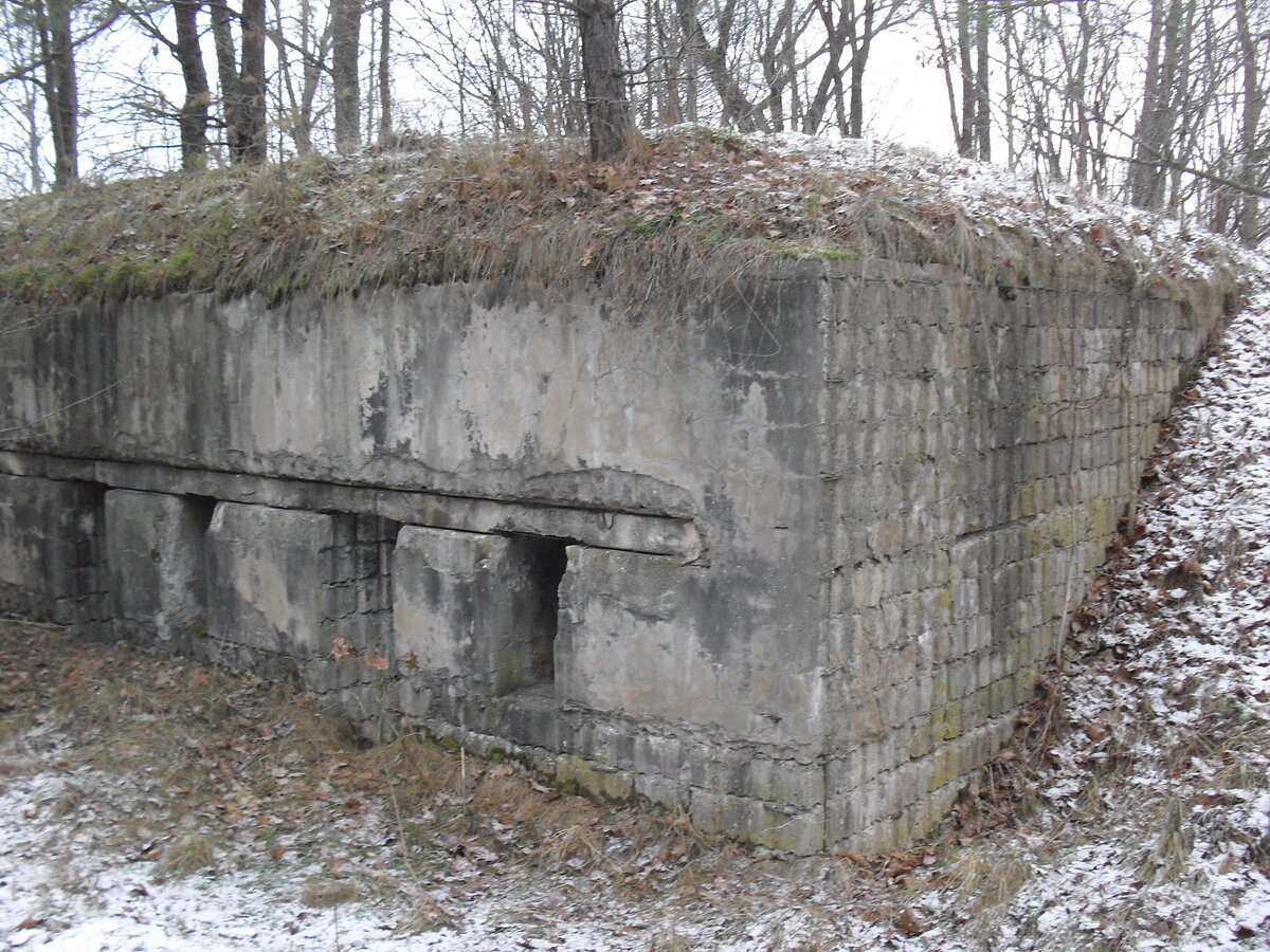 SDC12777.JPG