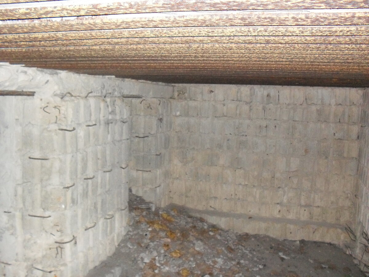 SDC12781.JPG