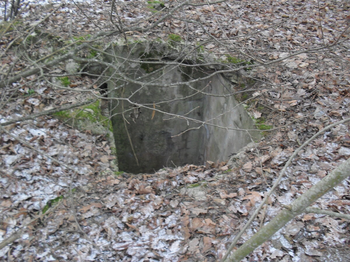 SDC12784.JPG