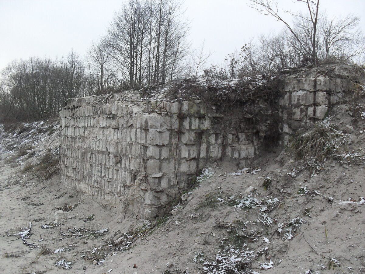 SDC12787.JPG