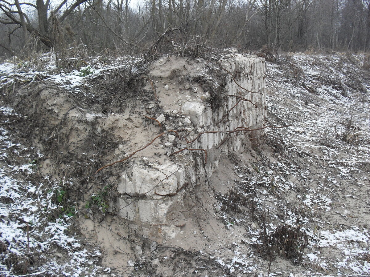 SDC12791.JPG