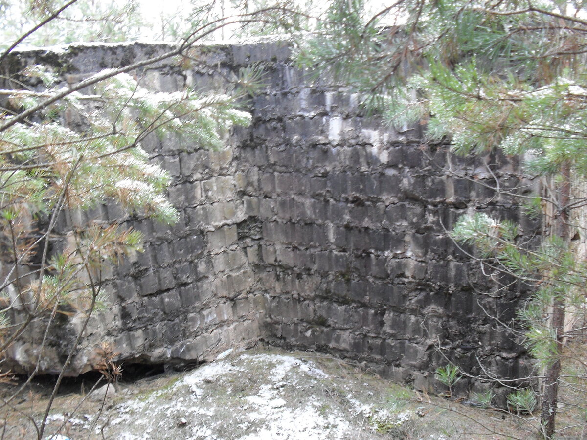 SDC12801.JPG